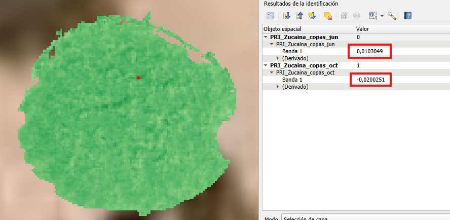 Imagen_Parcela_Zucaina